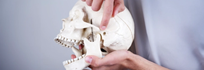 Chiropractic San Antonio, TX Skull TMJ